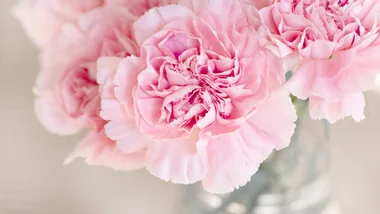 LVLY discount code: Save on fast and same-day flower deliveries and gifts with Woman's Day's tested discount codes and LVLY promo offers.