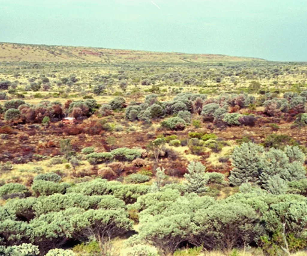 An image of the outback