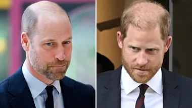 prince william and prince harry