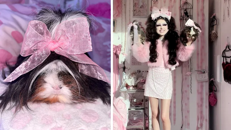 I wear matching outfits with my GUINEA PIGS!