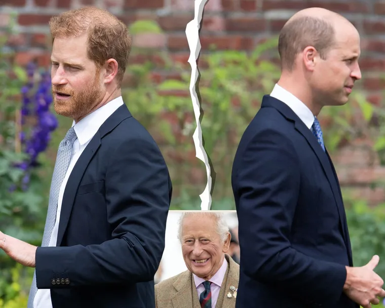 Prince Harry, Prince William, King Charles