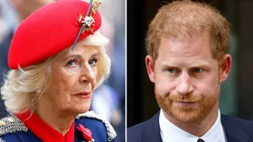 queen camilla and prince harry