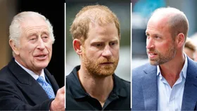 King Charles, Prince Harry and Prince William looking frustrated with each other.