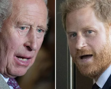 King Charles and Prince Harry