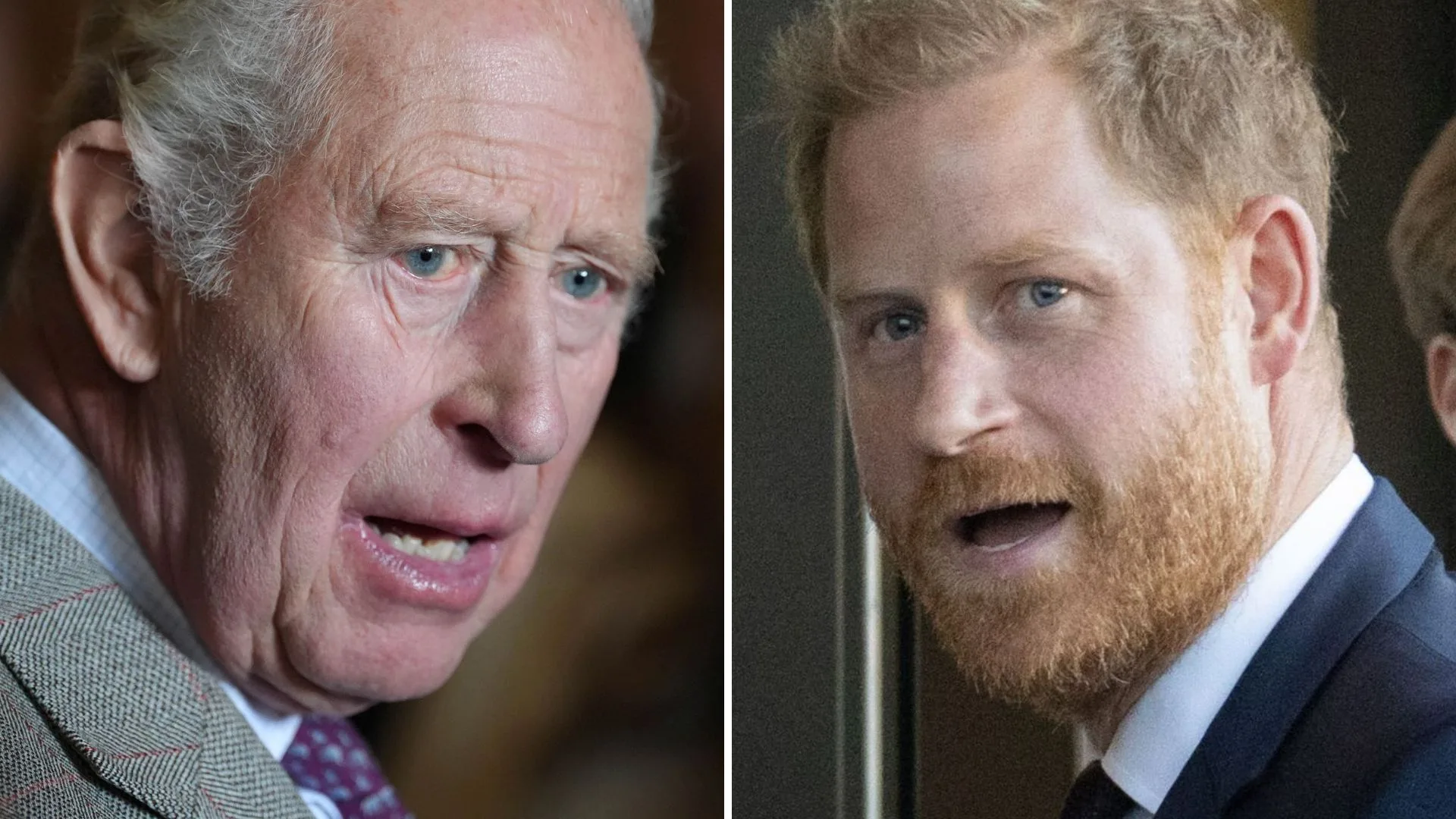 King Charles and Prince Harry