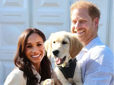 Meghan and Harry