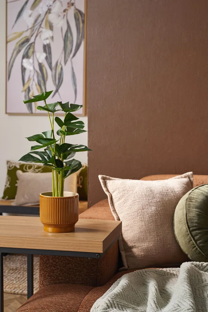 Fantastic Furniture living room set up with indoor plant