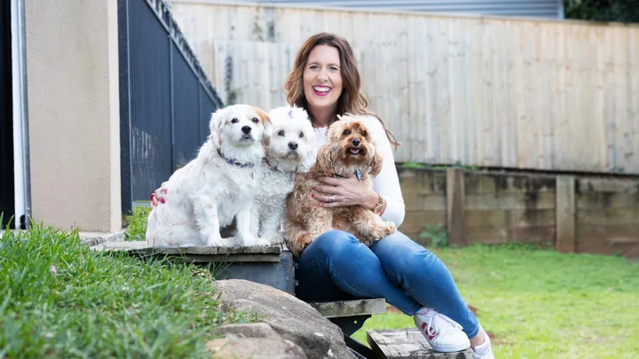 Pampered pooches pay our bills