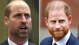 Prince William and Prince Harry in side by side image