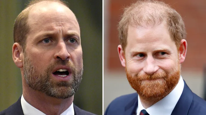 ‘Stirring up a hornet’s nest’: Prince William ‘sickened’ over Diana tell-all