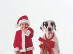 A child in a Santa suit stands beside a large dog wearing a red bow against a plain white background.
