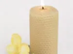 Lit pillar candle with yellow flower petals on a white background.