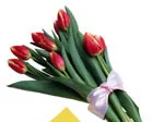 A bouquet of red tulips with green leaves, tied with a light pink ribbon.