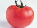 A fresh red tomato with water droplets on its surface.