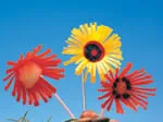 Crafted flowers made from colorful plastic cups with a clear blue sky backdrop.