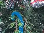 A blue candy cane ornament hangs on a green Christmas tree branch.