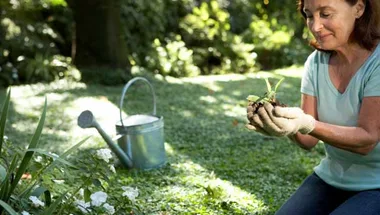 Gardening jobs for July