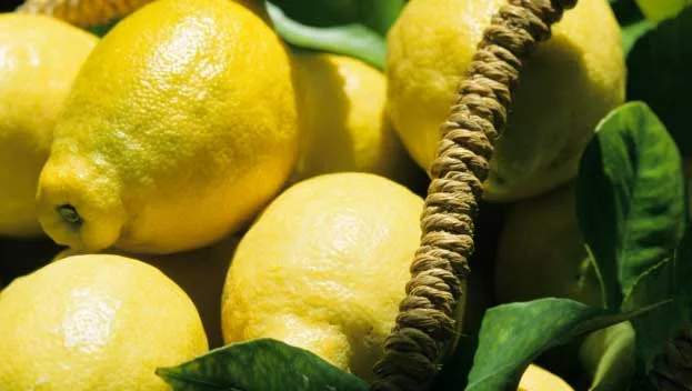 Fresh yellow lemons with green leaves in a basket, bathed in sunlight.