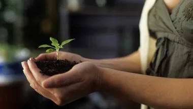 Hands holding a small plant with soil, symbolizing growth and care.