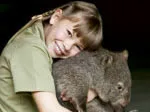 Bindi with one of Australia Zoo's wombats