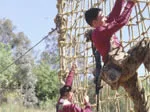 Two soldiers in maroon shirts climb a rope net during a training exercise at a boot camp, surrounded by greenery.