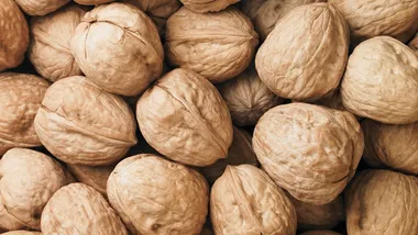 Photos by Getty Images