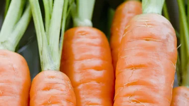 Fresh carrots with green tops, promoting healthy eating for cancer prevention.