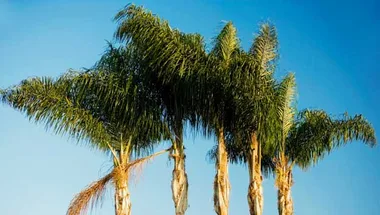 Photo by Getty Images