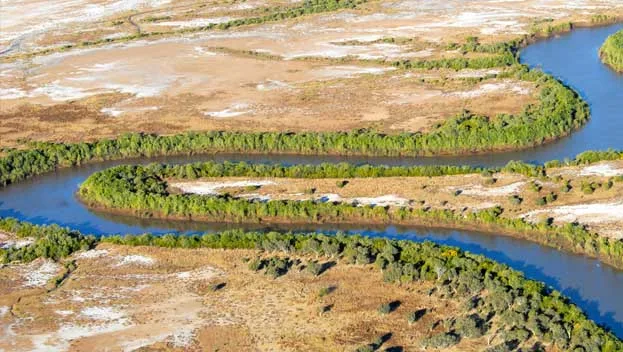 Aerial view of a winding river bordered by greenery and arid landscapes in Australia's Northern Territory.