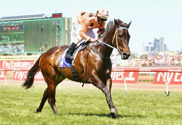 Black Caviar horse