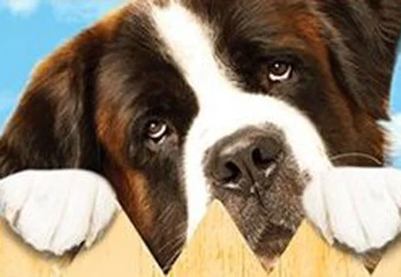 St Bernard