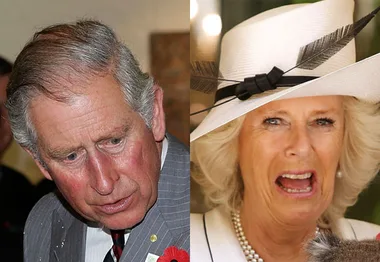 Prince Charles and Camilla with humorous, surprised expressions on their faces.