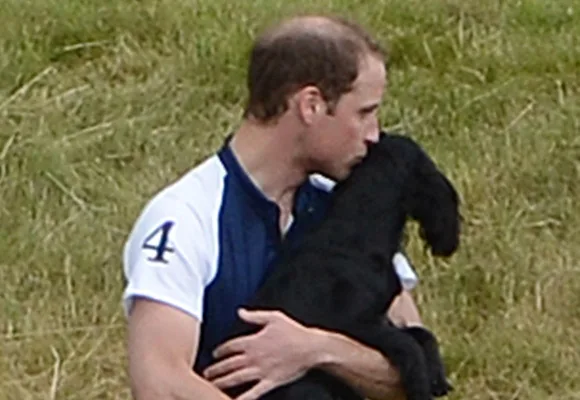 Man in a polo shirt kissing and holding a black dog on a grassy field.