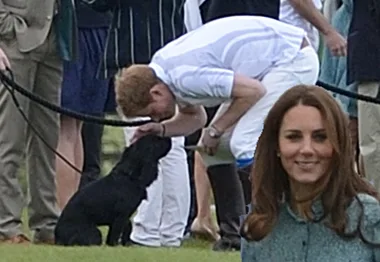 Prince Harry pets a black puppy while Kate Middleton smiles at a polo match.