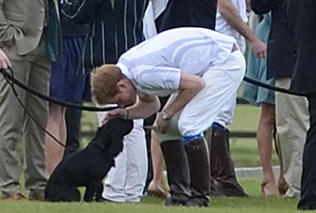 A man in white polo attire bends down to pet a black dog on a leash during a polo event, surrounded by people.