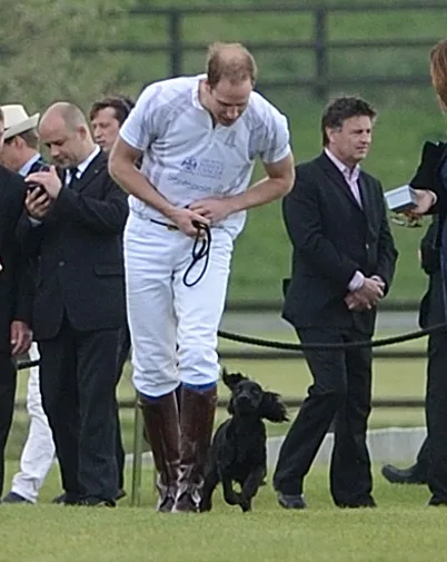 Man in polo attire walking a dog on grass, surrounded by people in formal clothing in the background.