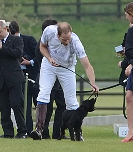 Man in a white polo outfit kneels to pet a black dog on a grassy field with people in the background.