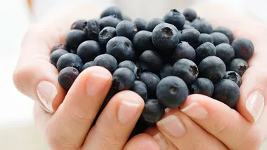 Hands holding a bunch of fresh blueberries against a soft-focus background.