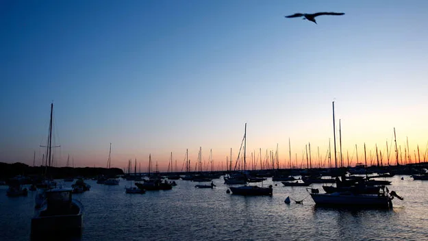 town of Vineyard Haven