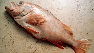 Fresh whole fish with open eye and faint orange hue, lying on a light stone surface.