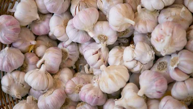 Fresh garlic bulbs piled together, showing their papery outer layers and roots.