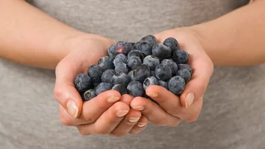 Hands holding a bunch of fresh bilberries.