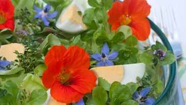 A salad with vibrant red and blue edible flowers, greens, and sliced boiled eggs in a green bowl.