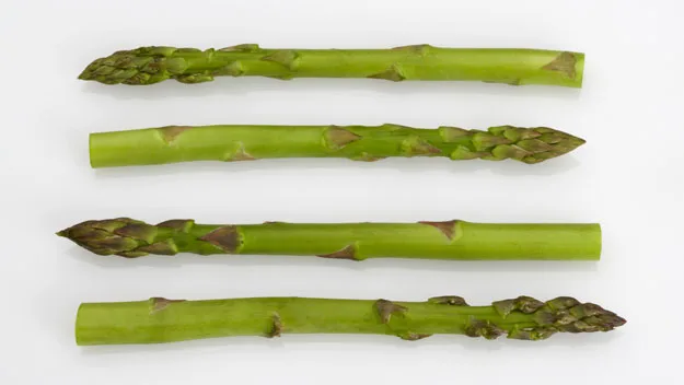 Four fresh green asparagus spears arranged horizontally on a white background.
