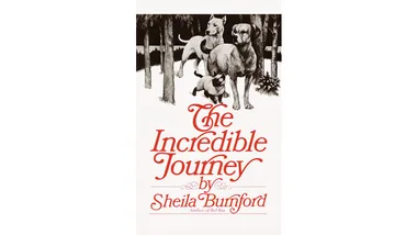 The Incredible Journey