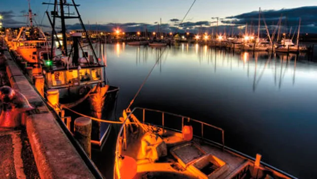 Napier's Inner Harbour at night