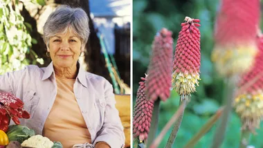 Red-hot winter blooms