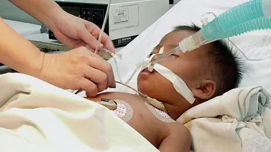 Deadly virus danger declining in NSW
