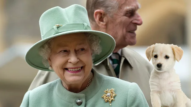 Queen Elizabeth names puppies after Harry Potter