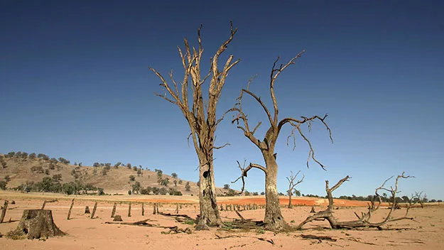 The drought persists in Southern Queensland.